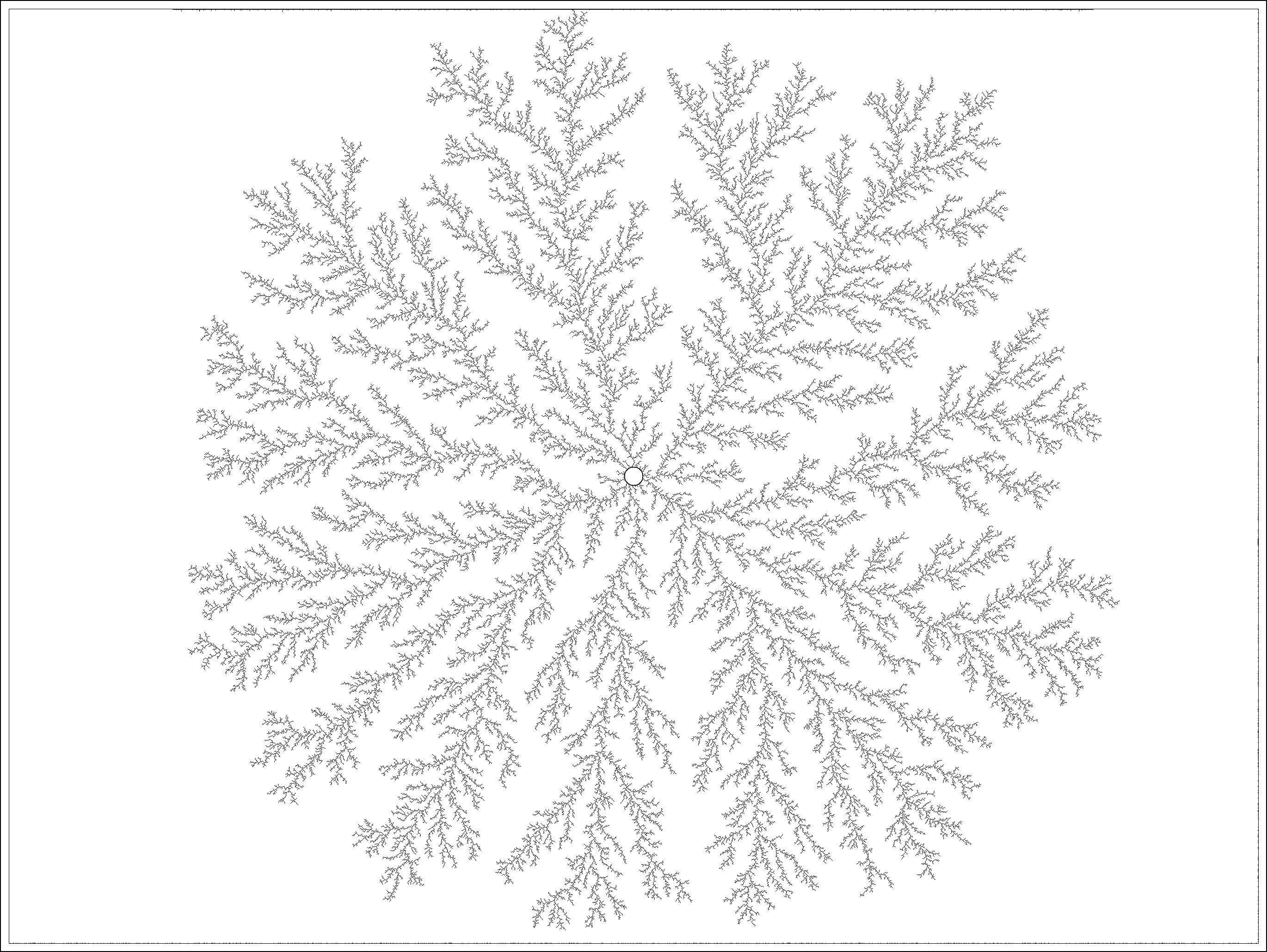 Diffusion Limited Aggregation (DLA)