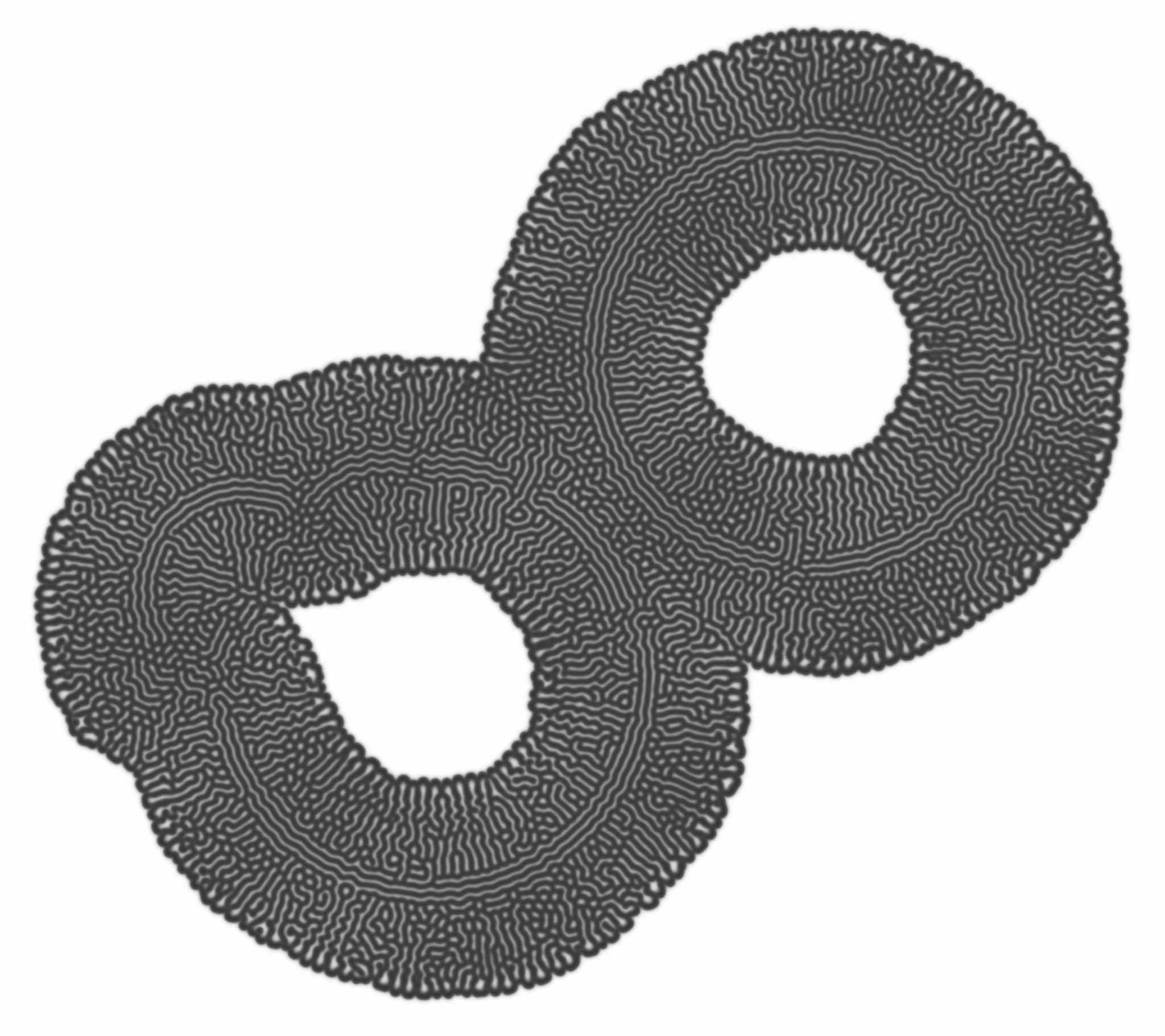 Gray-Scott Reaction-Diffusion Model